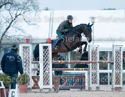 Belinda FZ Tosc Tour2013- S5 1934 : Arezzo, Belinda FZ, Cavalli d'Italia, Toscana Tour 2013, foto di Stefano Secchi ©
